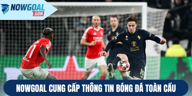 Lý do Nowgoal là lựa chọn ưu tiên của tín đồ bóng đá