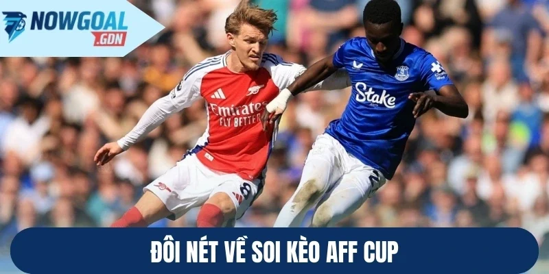 Đôi nét về soi kèo AFF Cup