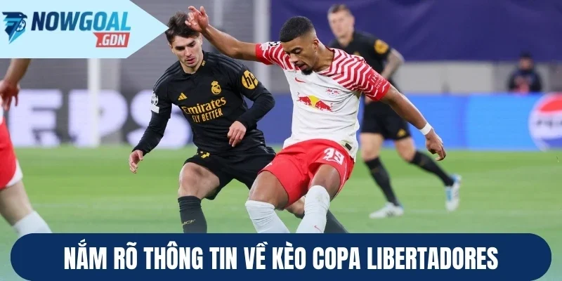 Nắm rõ thông tin về kèo Copa Libertadores