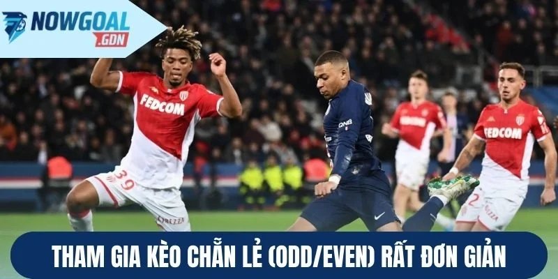Tham gia Kèo chẵn lẻ (Odd/Even) rất đơn giản