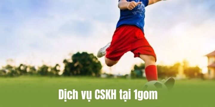 Dịch vụ CSKH tại 1gom như thế nào?