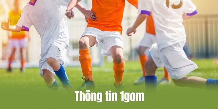 Tân binh tìm hiểu thông tin về 1gom