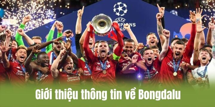 Giới thiệu tổng hợp về trang thể thao bongdalu