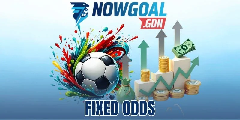 Fixed Odds - Vào Tiền Bóng Đá Với Tỷ Lệ Cược Cố Định 